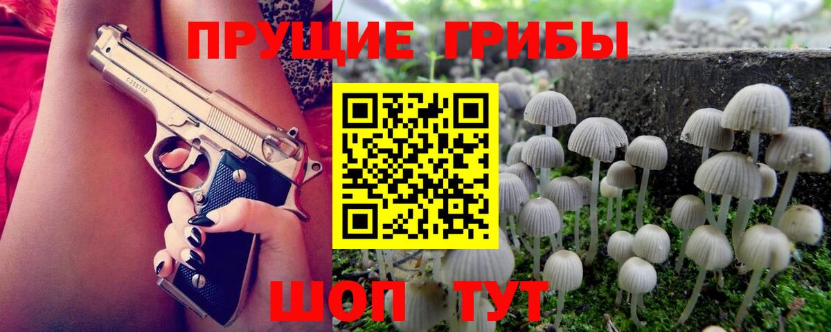 Псилоцибиновые грибы прущие грибы  Вход с VPN  Галлюциногенные грибы Psilocybine cubensis  Касимов 